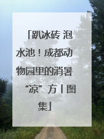 趴冰砖 泡水池！成都动物园里的消暑“凉”方丨图集