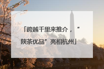 跨越千里来推介，“陕茶优品”亮相杭州