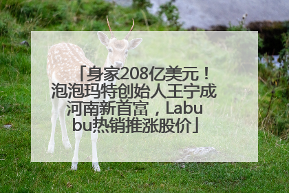 身家208亿美元！泡泡玛特创始人王宁成河南新首富，Labubu热销推涨股价