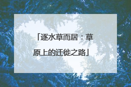 逐水草而居：草原上的迁徙之路