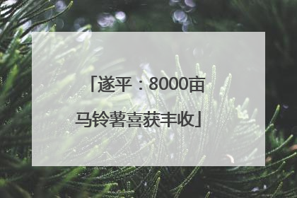 遂平：8000亩马铃薯喜获丰收