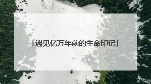遇见亿万年前的生命印记
