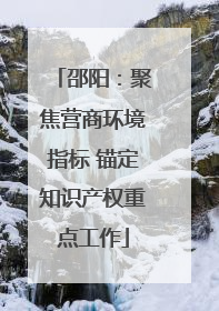 邵阳：聚焦营商环境指标 锚定知识产权重点工作