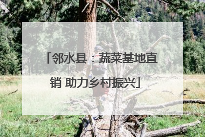 邻水县：蔬菜基地直销 助力乡村振兴