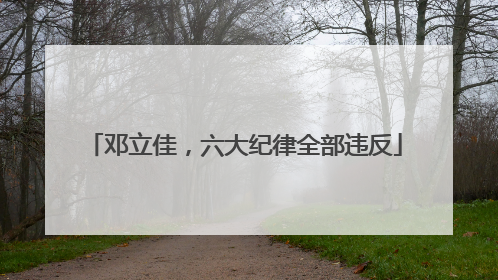 邓立佳，六大纪律全部违反