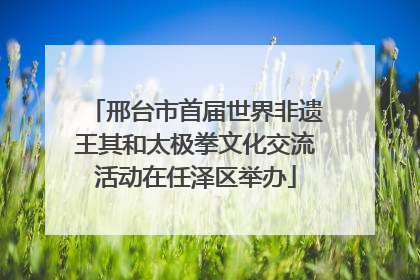邢台市首届世界非遗王其和太极拳文化交流活动在任泽区举办