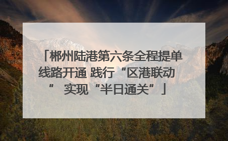 郴州陆港第六条全程提单线路开通 践行“区港联动” 实现“半日通关”