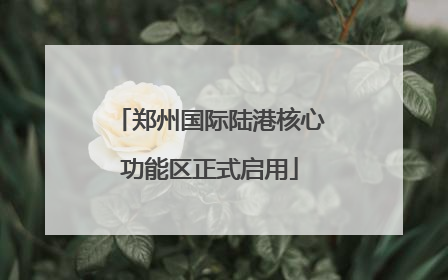 郑州国际陆港核心功能区正式启用