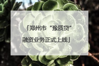 郑州市“豫质贷”融资业务正式上线