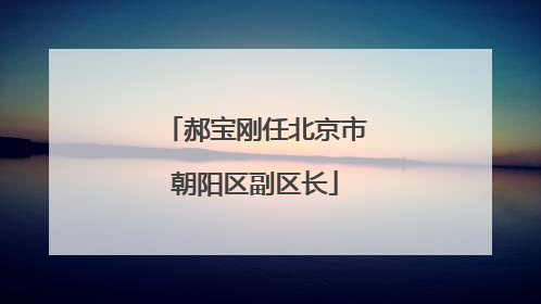 郝宝刚任北京市朝阳区副区长