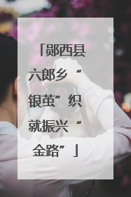 郧西县六郎乡“银茧”织就振兴“金路”