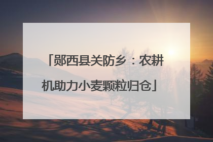 郧西县关防乡：农耕机助力小麦颗粒归仓