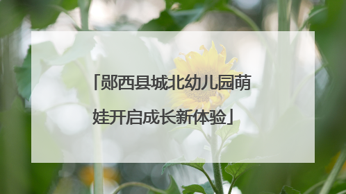 郧西县城北幼儿园萌娃开启成长新体验