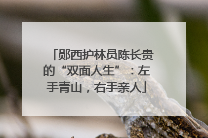 郧西护林员陈长贵的“双面人生”：左手青山，右手亲人
