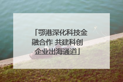 鄂港深化科技金融合作 共建科创企业出海通道