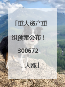 重大资产重组预案公布！300672，大涨