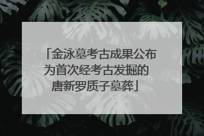 金泳墓考古成果公布 为首次经考古发掘的唐新罗质子墓葬