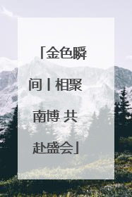 金色瞬间丨相聚南博 共赴盛会