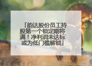 韵达股份员工持股第一个锁定期将满！净利润未达标或为低门槛解锁