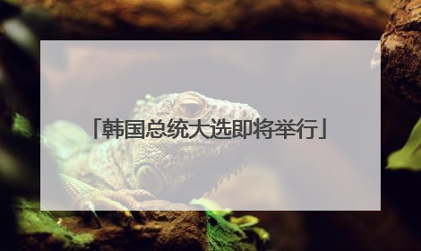 韩国总统大选即将举行