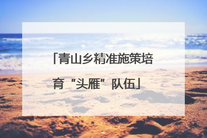 青山乡精准施策培育“头雁”队伍