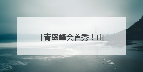 青岛峰会首秀！山东低空经济全产业链实力藏不住了