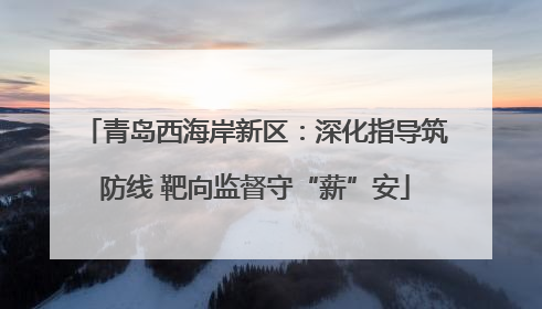 青岛西海岸新区：深化指导筑防线 靶向监督守“薪”安