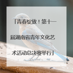青春绽放！第十一届湖南省青年文化艺术活动总决赛举行