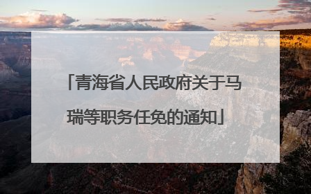 青海省人民政府关于马瑞等职务任免的通知