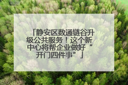 静安区数通链谷升级公共服务！这个新中心将帮企业做好“开门四件事”