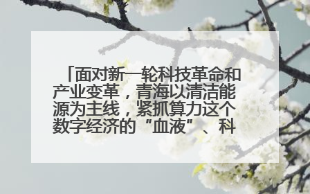 面对新一轮科技革命和产业变革，青海以清洁能源为主线，紧抓算力这个数字经济的“血液”、科技主权的“筹码”、产业升级的“杠杆”、绿色转型的“支点”，勇于撬动国家“双碳”战略、“东数西算”工程重大发展新机遇