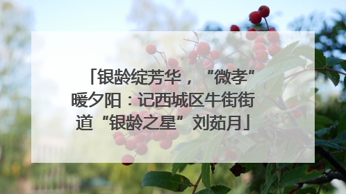 银龄绽芳华，“微孝”暖夕阳：记西城区牛街街道“银龄之星”刘茹月