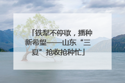 铁犁不停歇，播种新希望——山东“三夏”抢收抢种忙