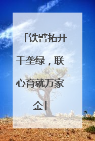 铁臂拓开千垄绿，联心育就万家金