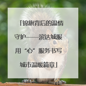 锦旗背后的温情守护——滨达城服用“心”服务书写城市温暖篇章
