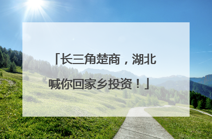 长三角楚商，湖北喊你回家乡投资！