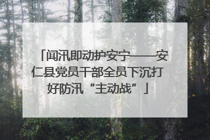 闻汛即动护安宁——安仁县党员干部全员下沉打好防汛“主动战”