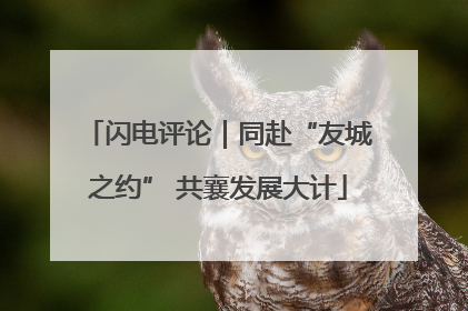 闪电评论｜同赴“友城之约” 共襄发展大计
