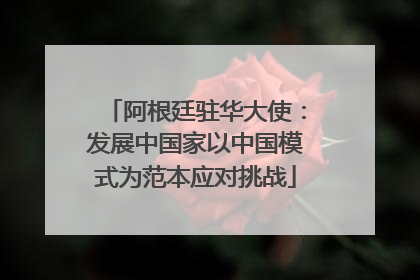 阿根廷驻华大使：发展中国家以中国模式为范本应对挑战
