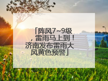 阵风7~9级，雷雨马上到！济南发布雷雨大风黄色预警