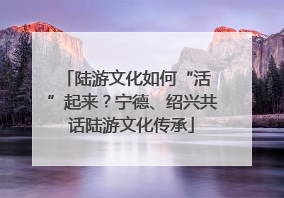 陆游文化如何“活 ”起来？宁德、绍兴共话陆游文化传承