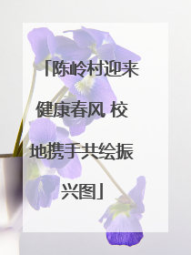 陈岭村迎来健康春风 校地携手共绘振兴图