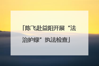 陈飞赴益阳开展“法治护绿”执法检查