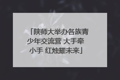 陕师大举办各族青少年交流营 大手牵小手 红烛耀未来