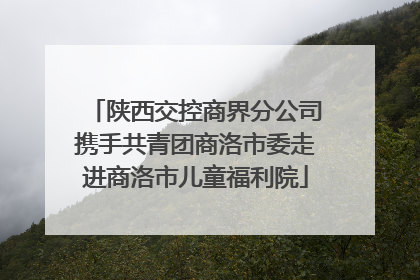 陕西交控商界分公司携手共青团商洛市委走进商洛市儿童福利院