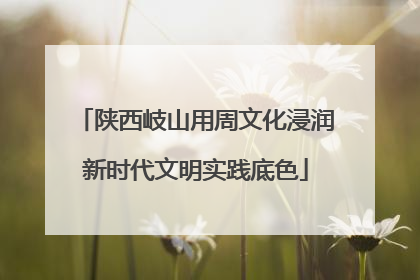 陕西岐山用周文化浸润新时代文明实践底色