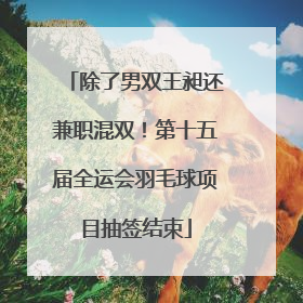 除了男双王昶还兼职混双！第十五届全运会羽毛球项目抽签结束
