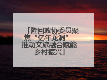 隆回政协委员聚焦“亿年龙洞” 推动文旅融合赋能乡村振兴