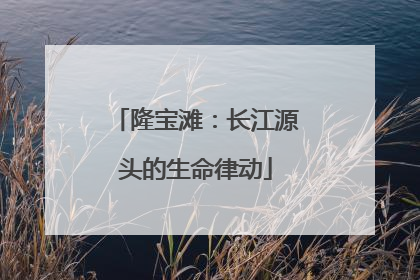 隆宝滩：长江源头的生命律动