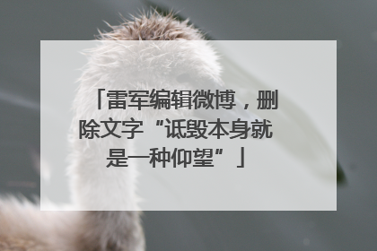 雷军编辑微博，删除文字“诋毁本身就是一种仰望”